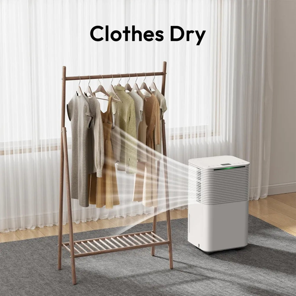 Déshumidificateur d'air 12 L/jour — 3 modes, minuterie 24 h