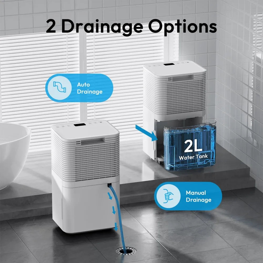 Déshumidificateur d'air 12 L/jour — 3 modes, minuterie 24 h